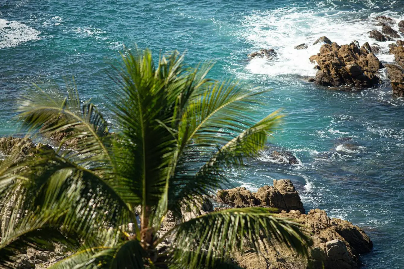 114111 295953 GUNFJXbABdY24YcmZOSPXZKl6hFtiTH1y91llIOOCDY 6789b491b67a4.jpg