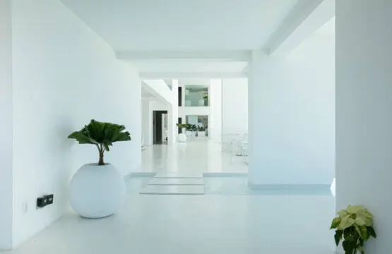 114111 295953 dGerVXifkxBQIx27zOXNceYareb8jM 2joLR 7L jqM 6789b494f0baa.jpg