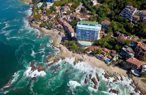 114111 295953 ukxtjm5VpCIVHXTbDQHSPdml3q CJb 4Ixy6CB SRo 6789b4a561e61.jpg