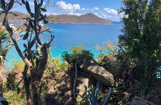 114111 302472 B9QPA4uWNxSalEPgDiUWbSKltfV3LHBW251mwhu7AA8 6789b43400870.jpg