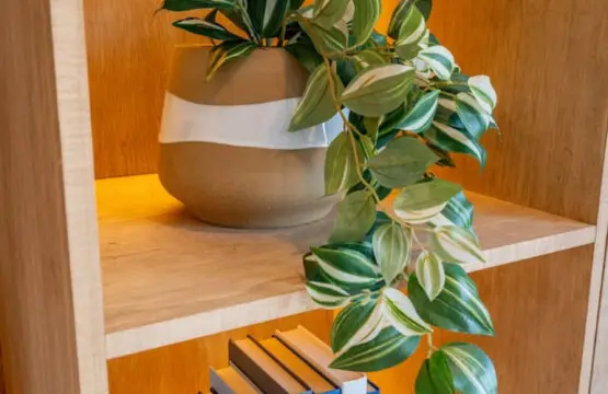 114111 302472 fEIkD4YeZdf0wnCR0sYwiGk yOUFkbxwjtwO4Q0RuyQ 6789b3f769605.jpg