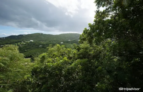 114111 302472 t ahT9EN8R8w34HbLdva5L6gD O6jbSeMHXbJ80UoE 6789b4327c8ba.jpg